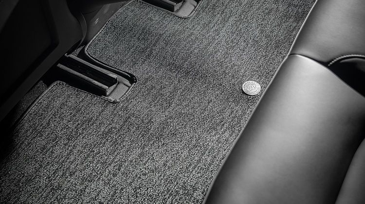 Tesla 3 floor mat in the back seat